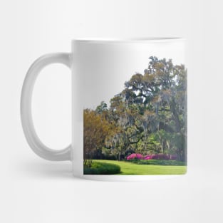 Airlie Oak In The Spring Mug